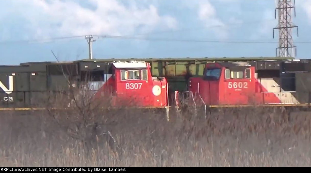 CN L50391